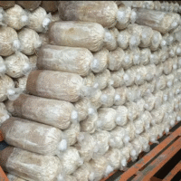 Screenshot 2025-11-10 at 23.36.41 Screenshot 2025-11-10 at 23.36.41