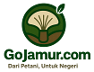 gojamur.com