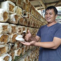 konsultasi konsultasi